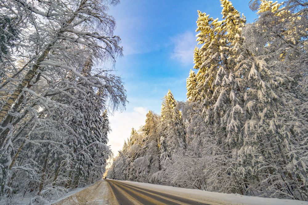 Photograph by Дмитрий Потапов