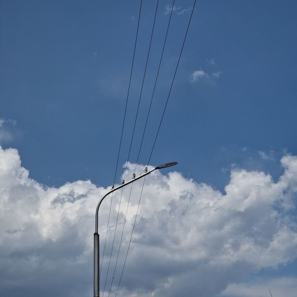 Photo #10021584