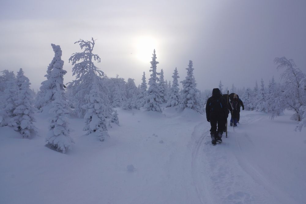 Photograph by Игорь Кравцов