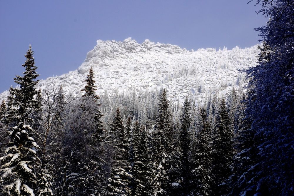 Photograph by Игорь Кравцов