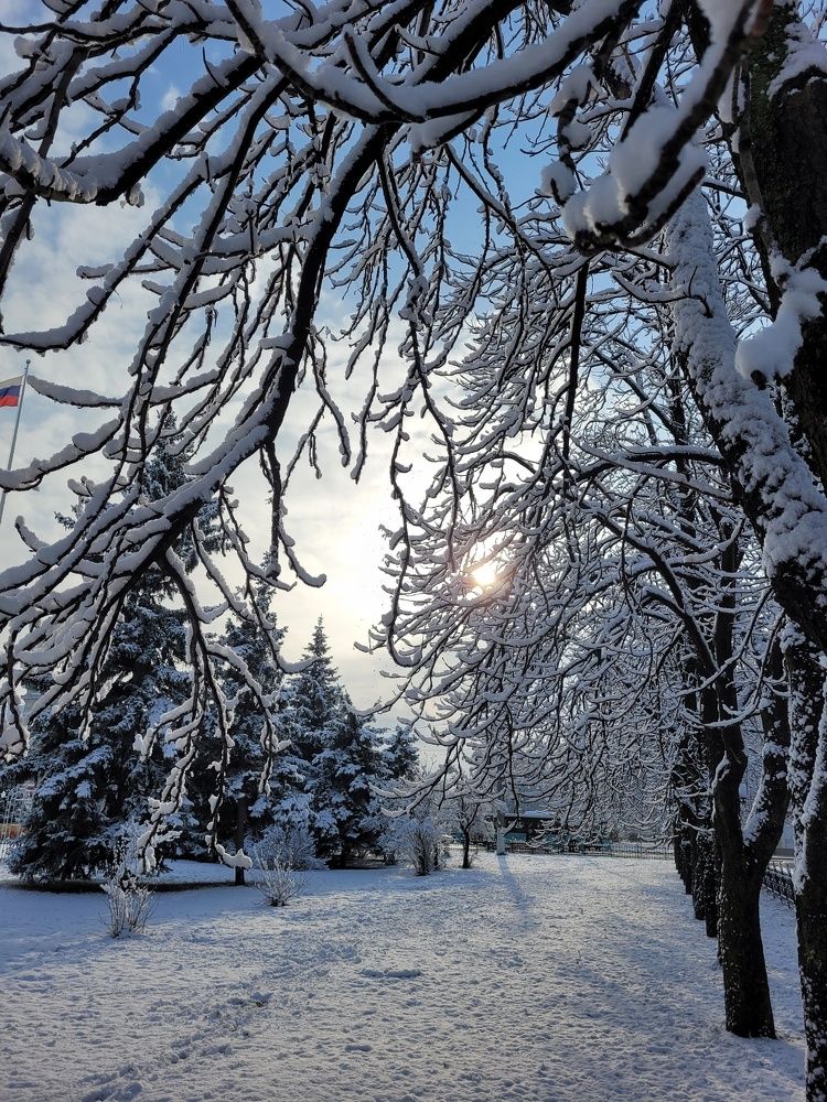 Фотография автора Ольга Игуменова