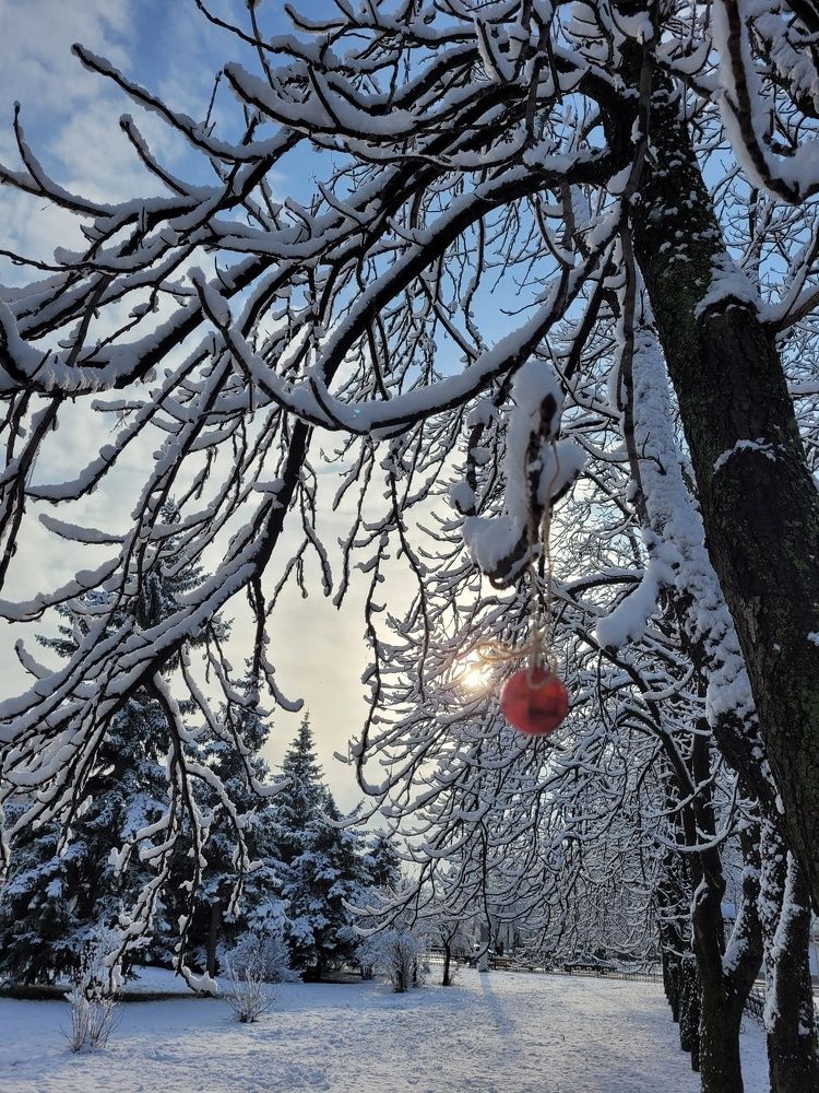 Фотография автора Ольга Игуменова