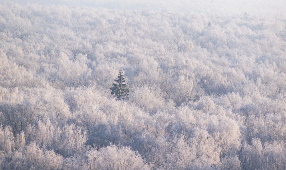 Photograph by Борис Юрьев