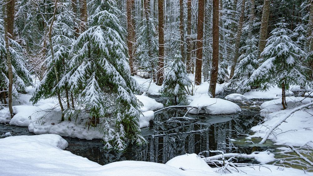 Зимняя сказка