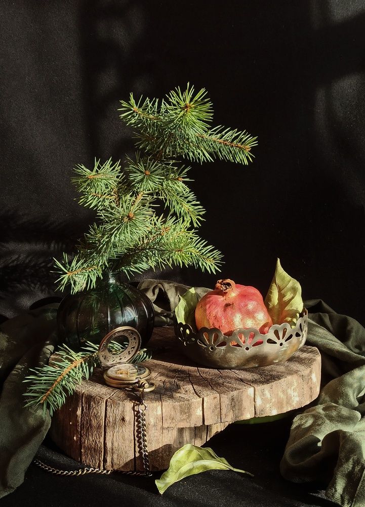 Photograph by Новикова Елена Сергеевна