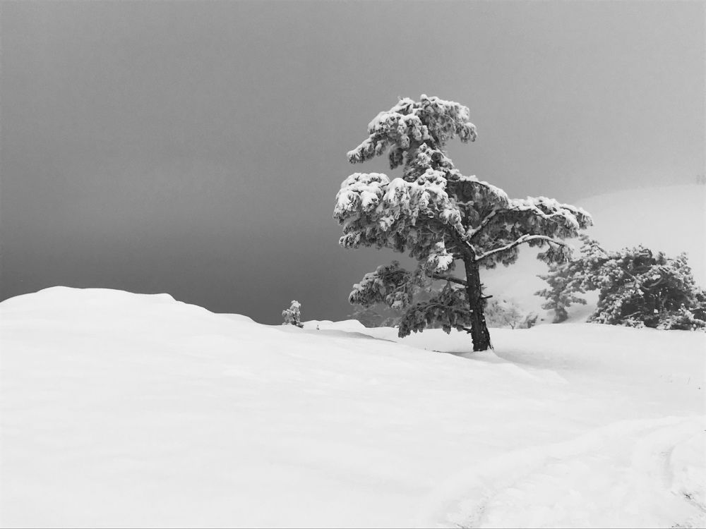 Photograph by Татьяна Эрбутаева