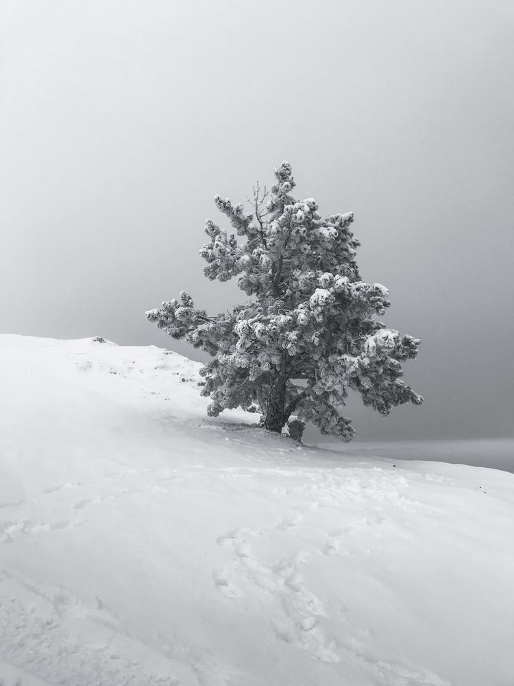 Photograph by Татьяна Эрбутаева