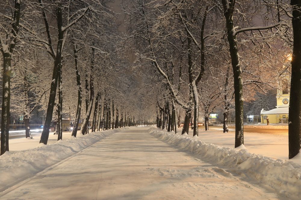 Photograph by Наталия Дударева