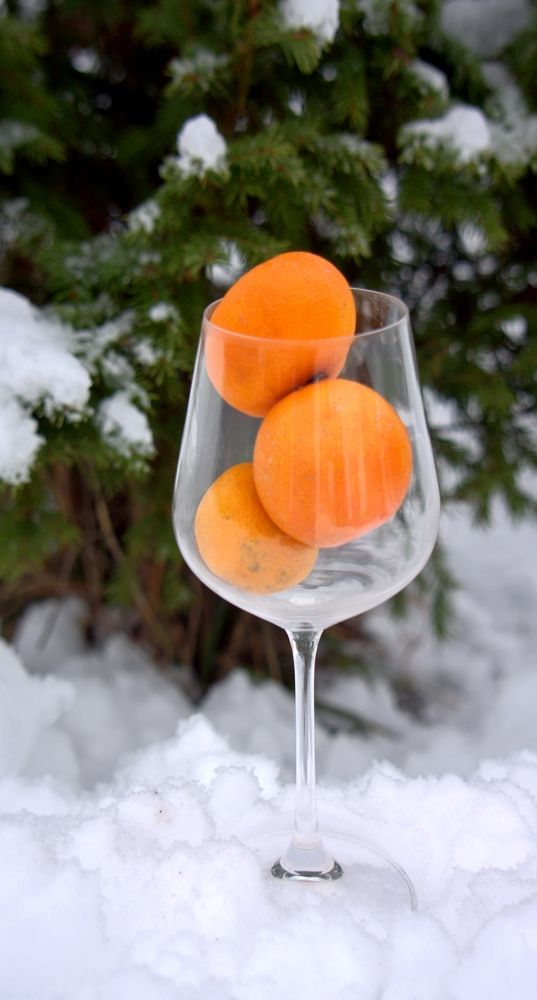 Photograph by Oksana Smorodina