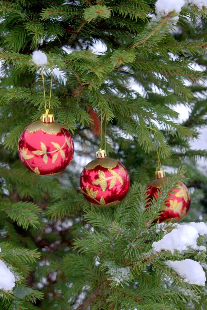 Photograph by Oksana Smorodina