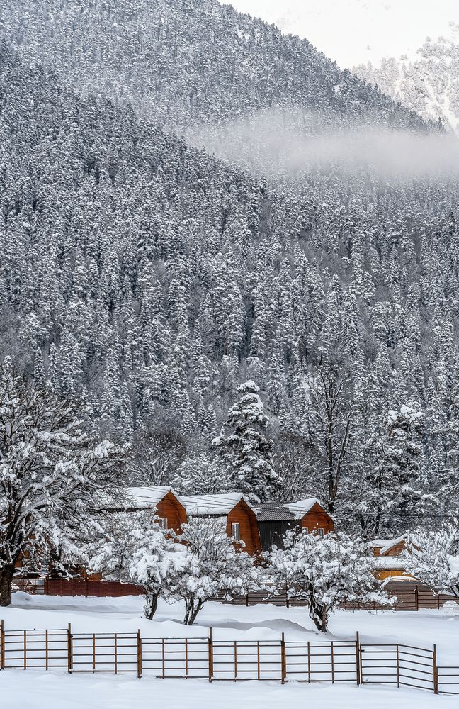 Фотография автора Мазурева Анастасия