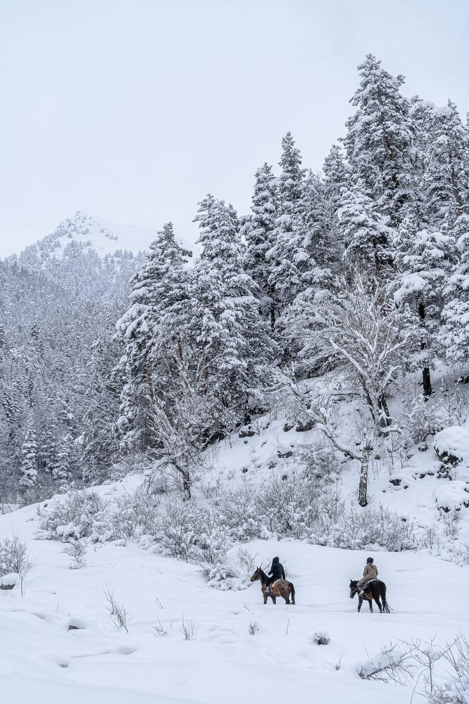 Фотография автора Мазурева Анастасия