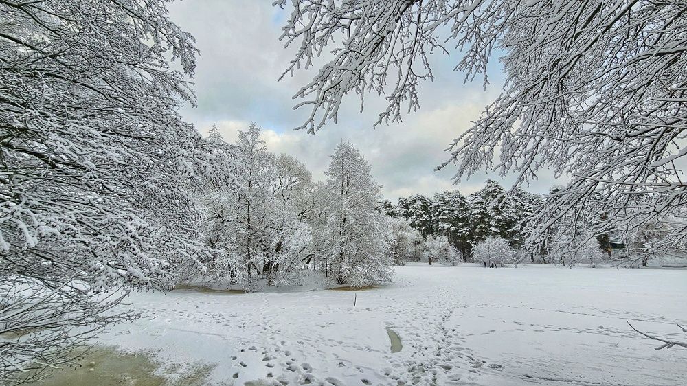 Зимняя сказка.