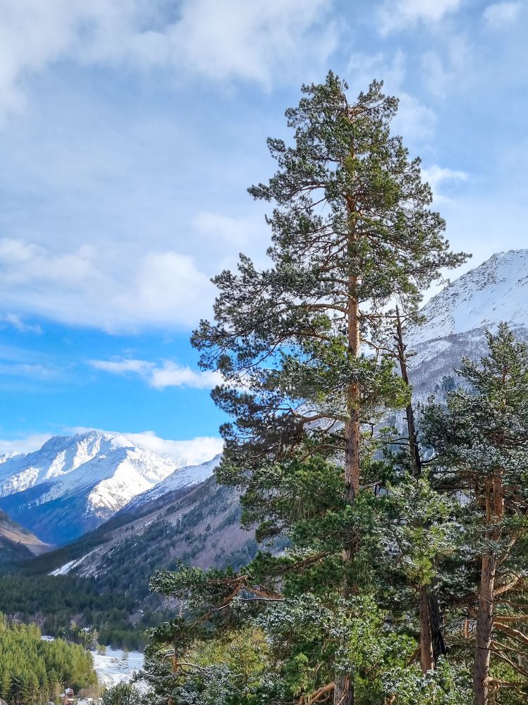 Photograph by Ольга