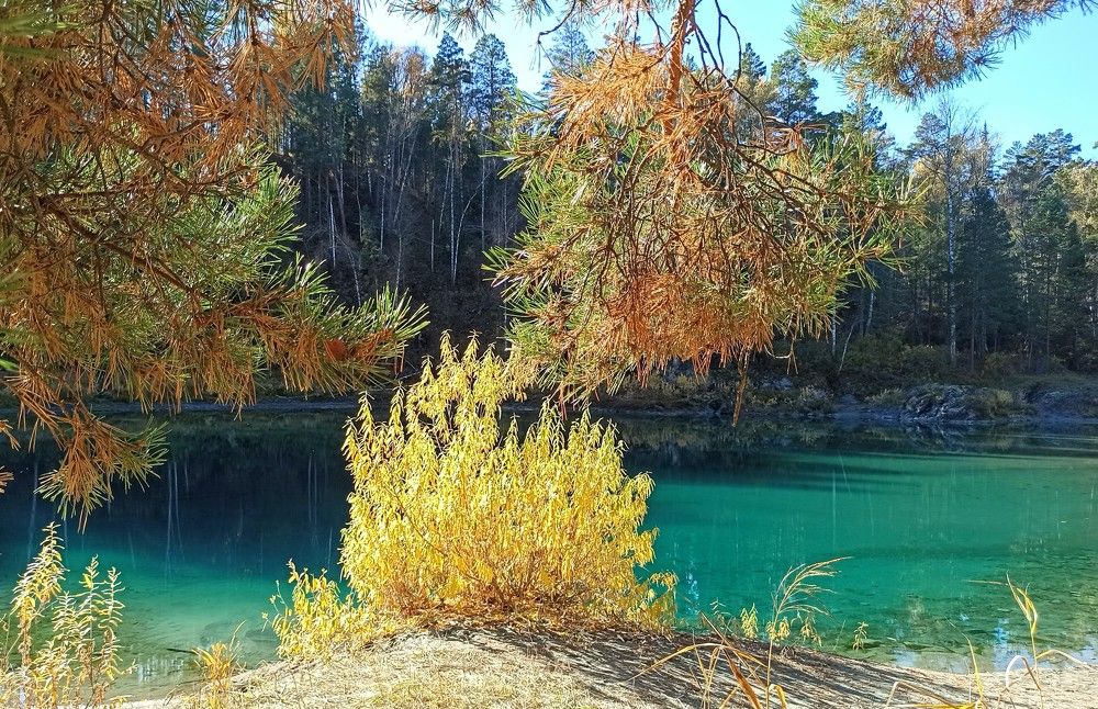 Солнечный октябрь...