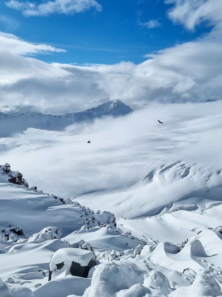 Photograph by Ольга