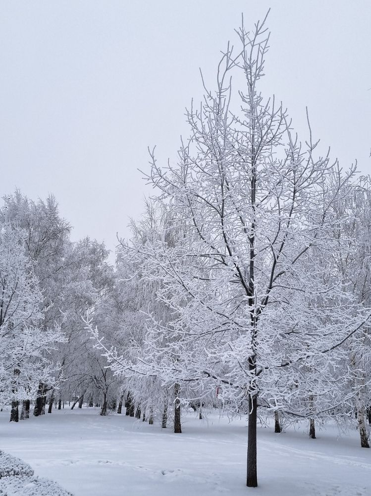 Photograph by Ольга