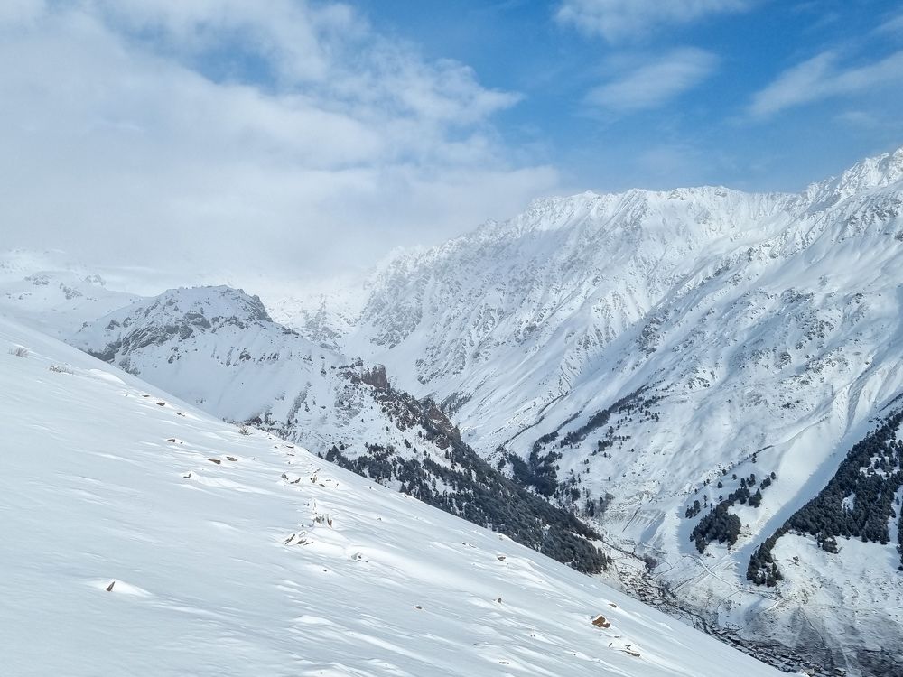 Photograph by Ольга