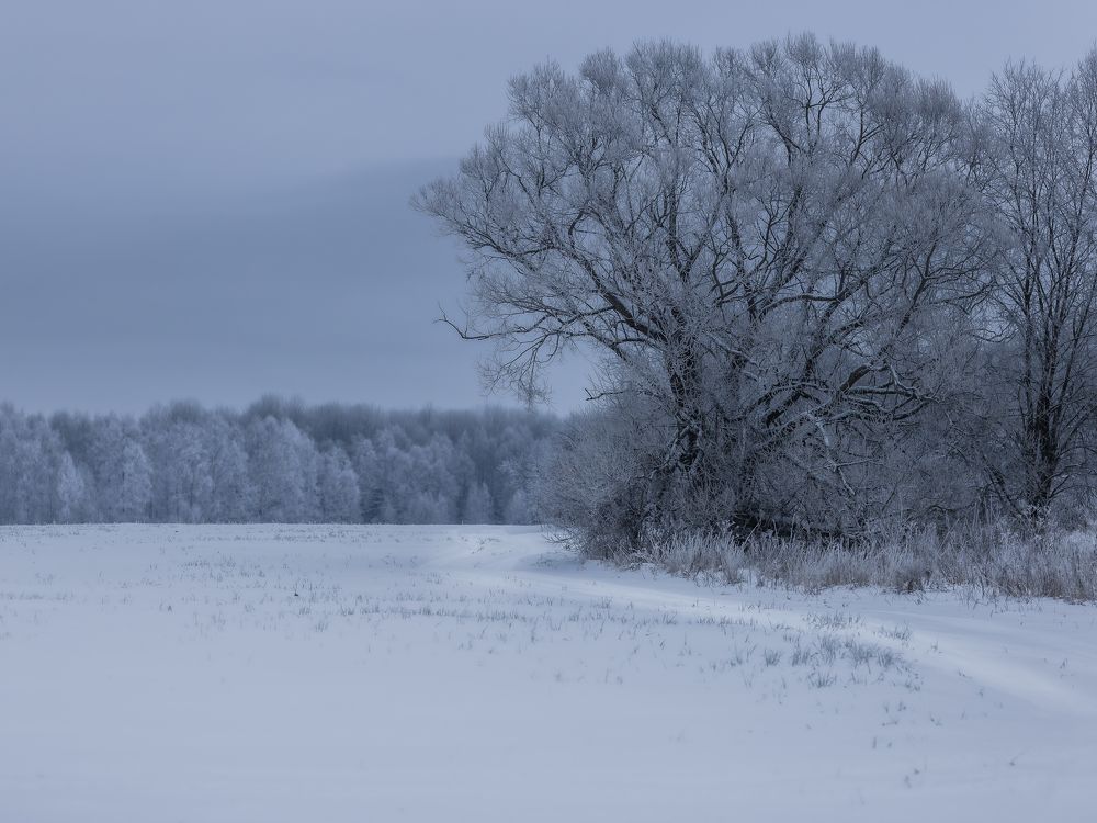 Photograph by Владимир Петухов