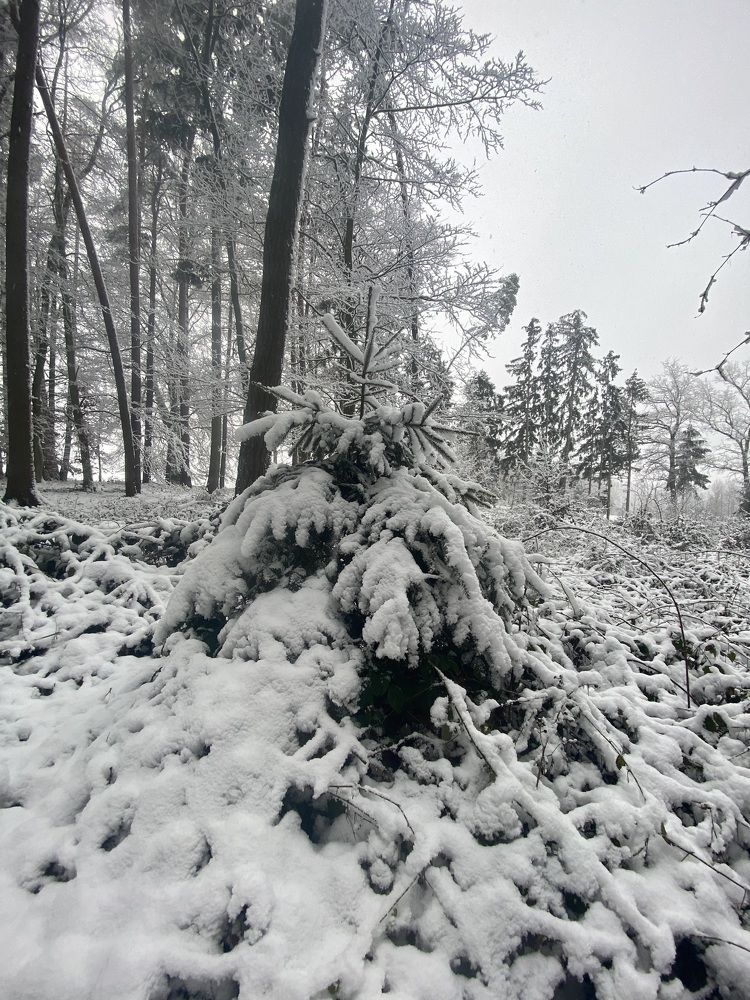 Photograph by Eugenia Schmidt