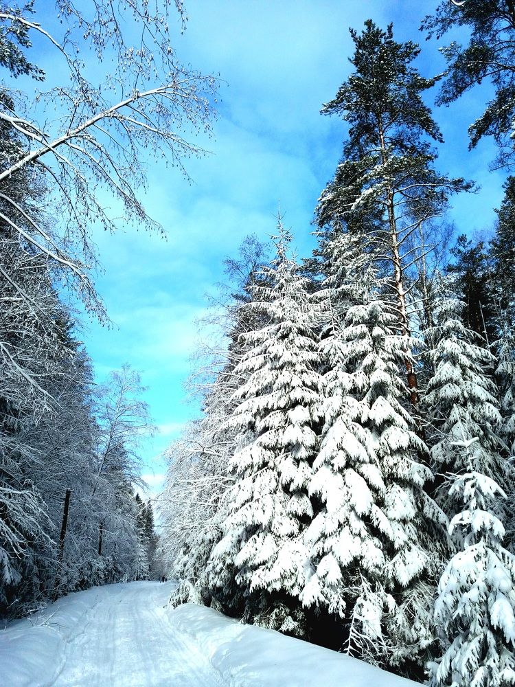 Фотография автора Наталья Бруёк
