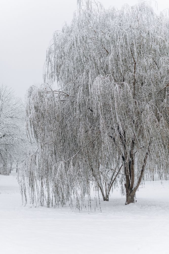 Photograph by Алёна Цыбулько