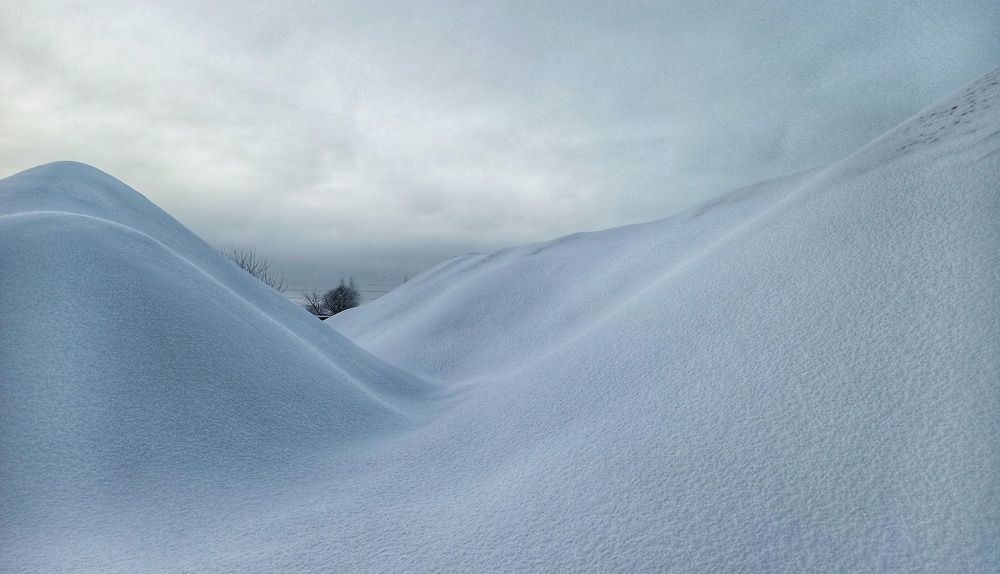 Photograph by Новикова Елена Сергеевна