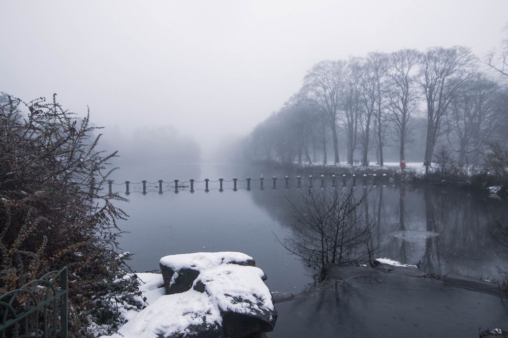 Photograph by Subhasis Paul