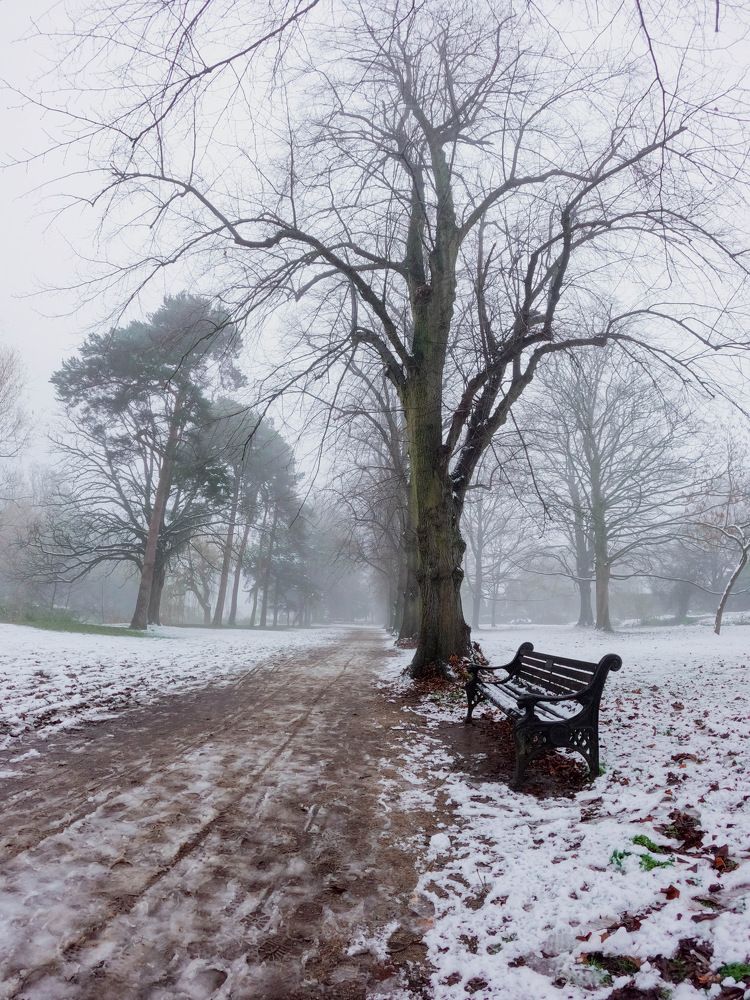 Photograph by Subhasis Paul