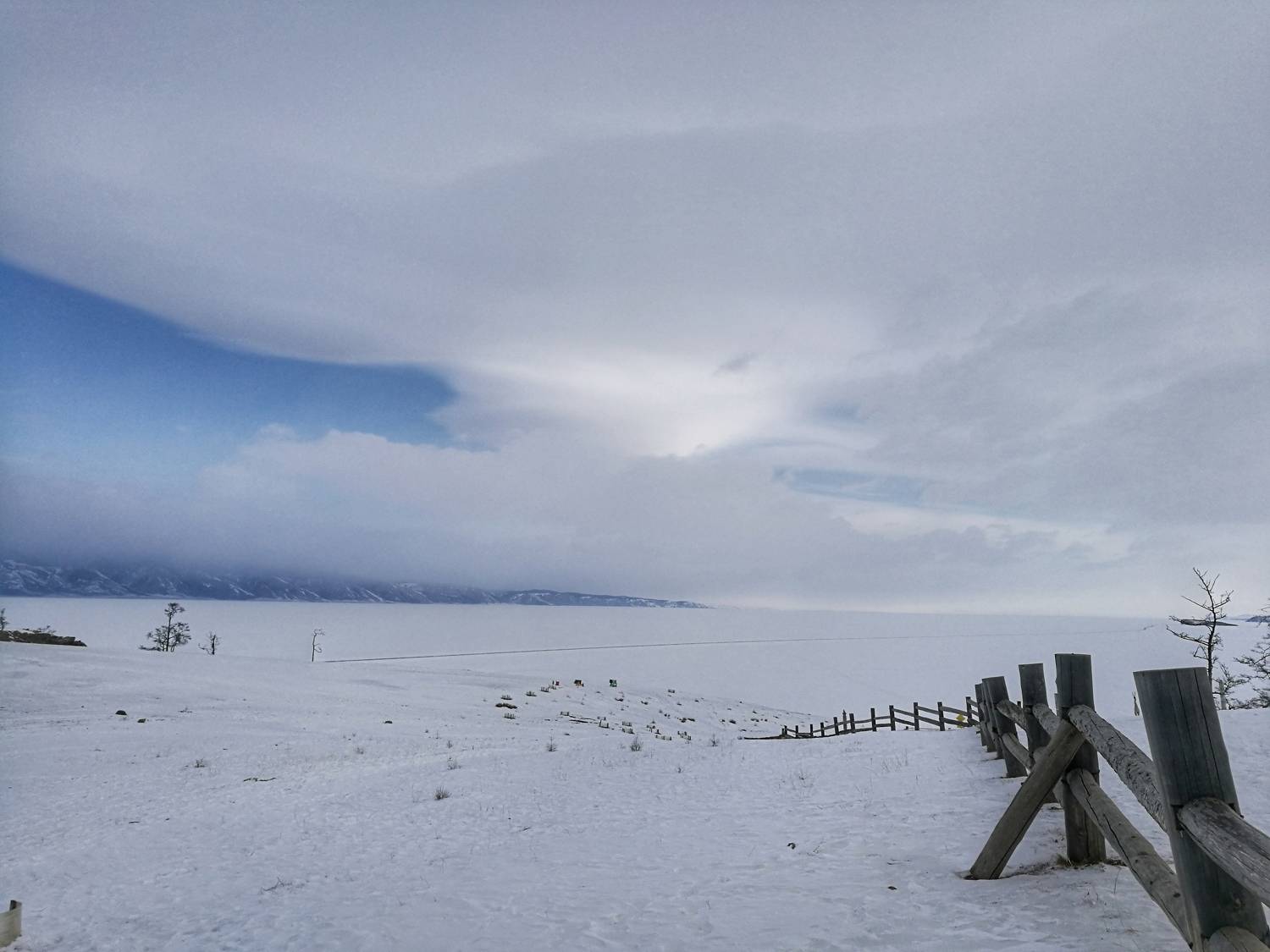 Photo #10022201