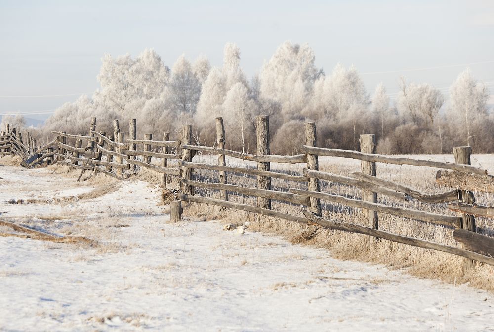 Фотография автора Лариса Кисурина