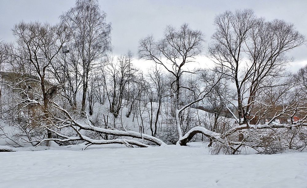 Photograph by Светлана Васильева