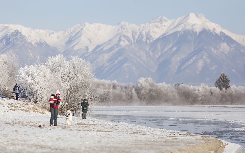 Фотография автора Лариса Кисурина
