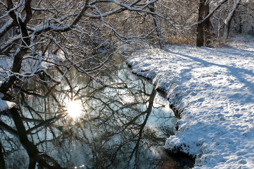 Photograph by Светлана Васильева