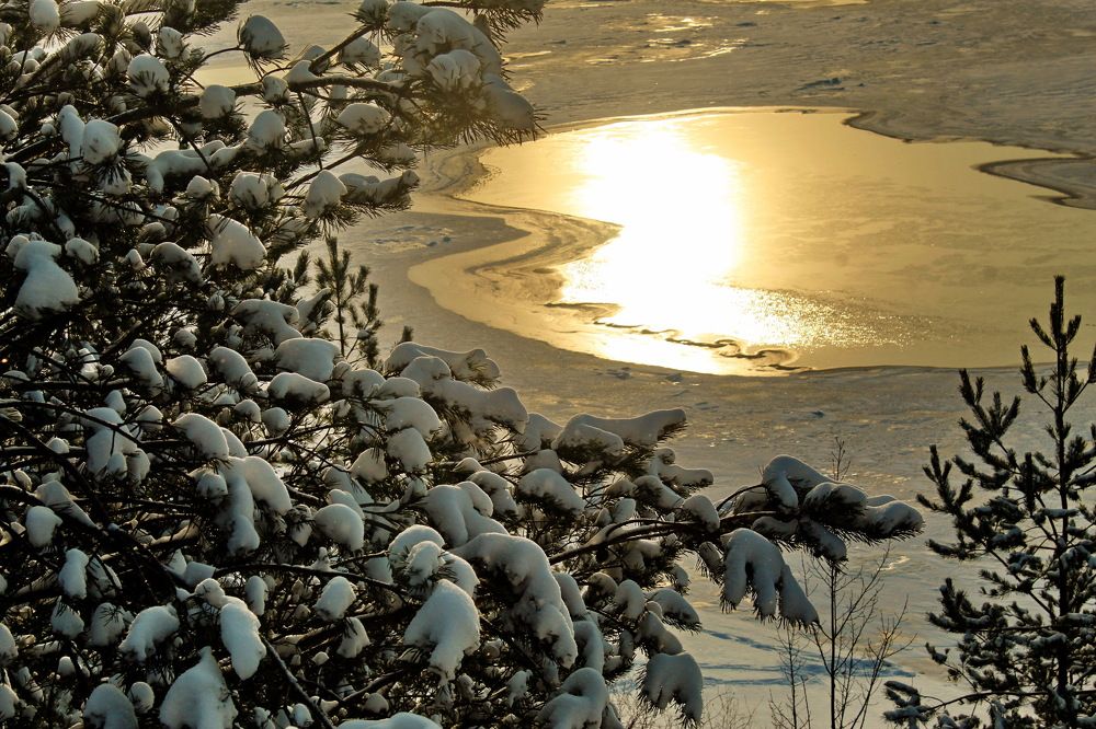 Photograph by Николай Леухин