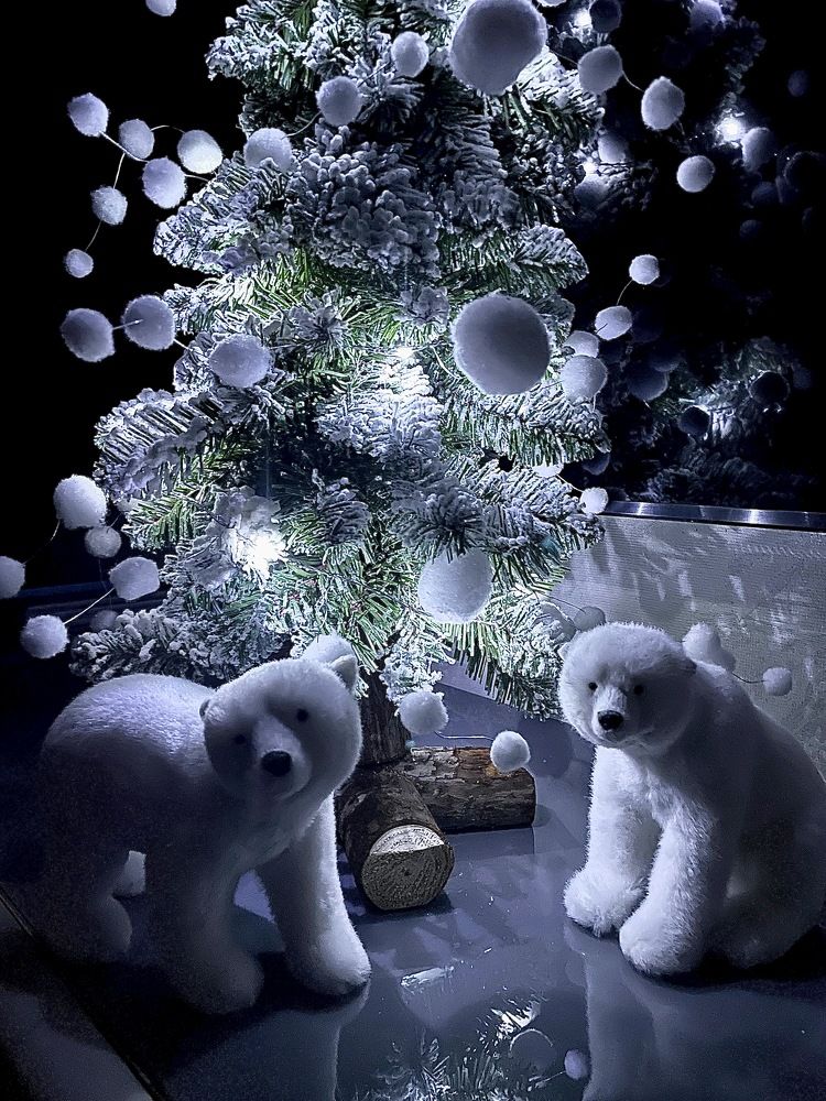 Photograph by Svetlana Rashidova