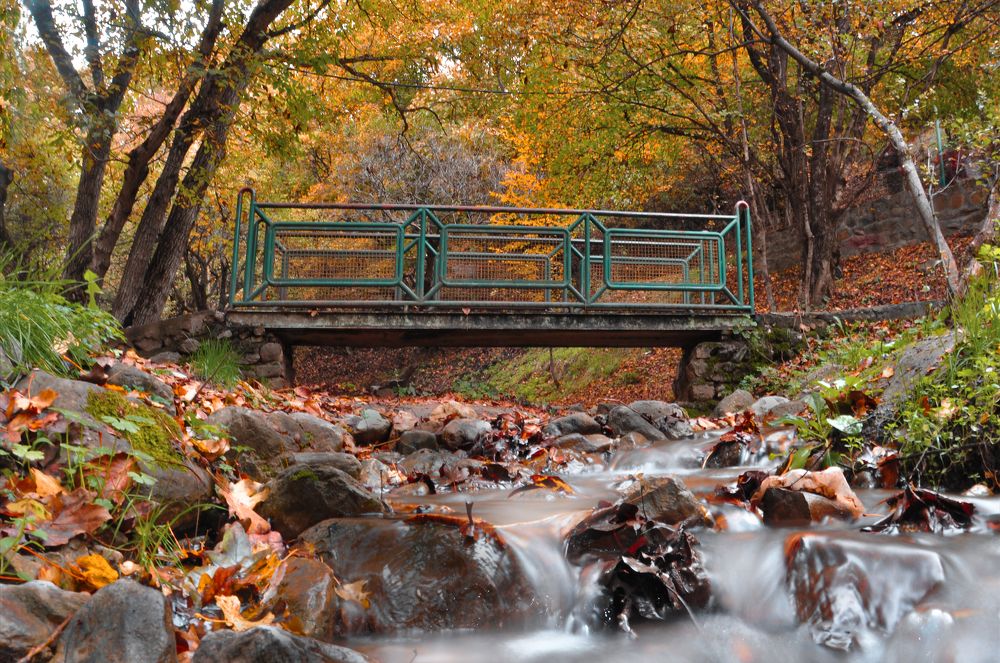 Photograph by mohammad tahmasebi