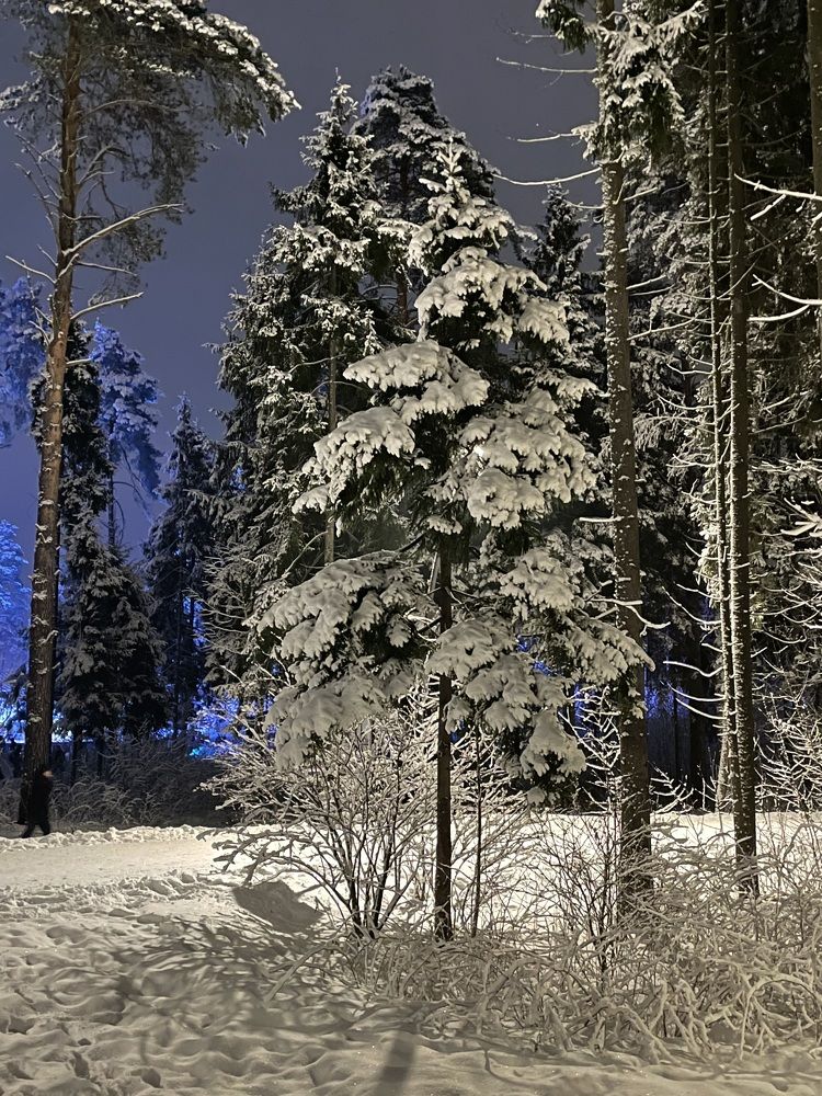 Photograph by Ольга Дорошенко