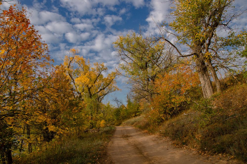 Photograph by Елена Гольдебаева