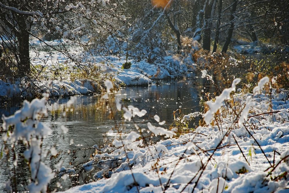 Фотография автора YANN JACOB