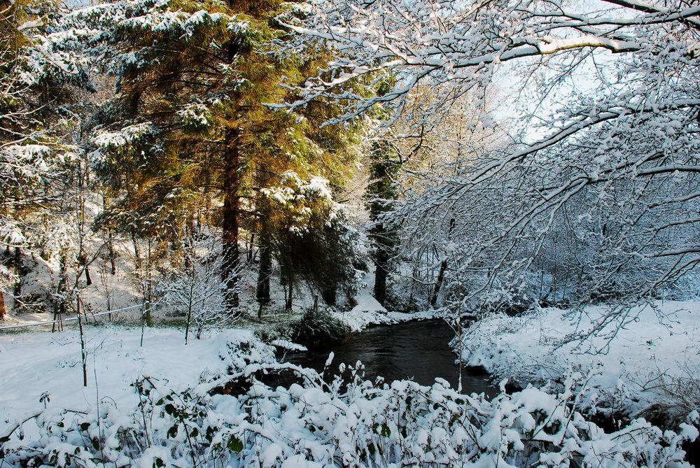 Фотография автора YANN JACOB