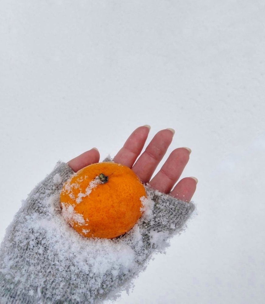 Photograph by Юлия Коробкова