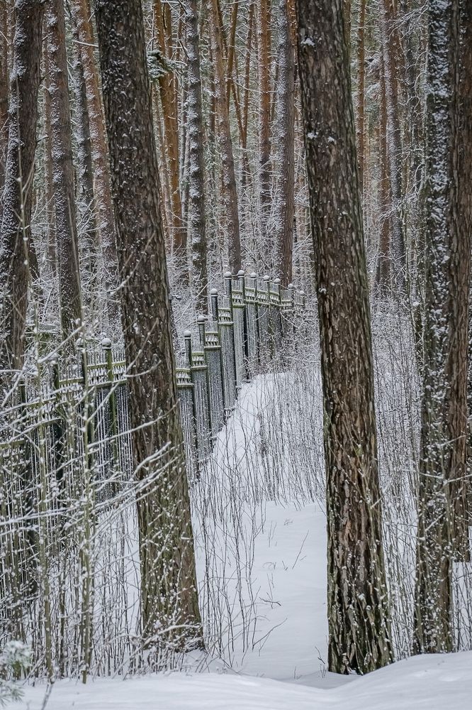 Photograph by Елена Ворошина