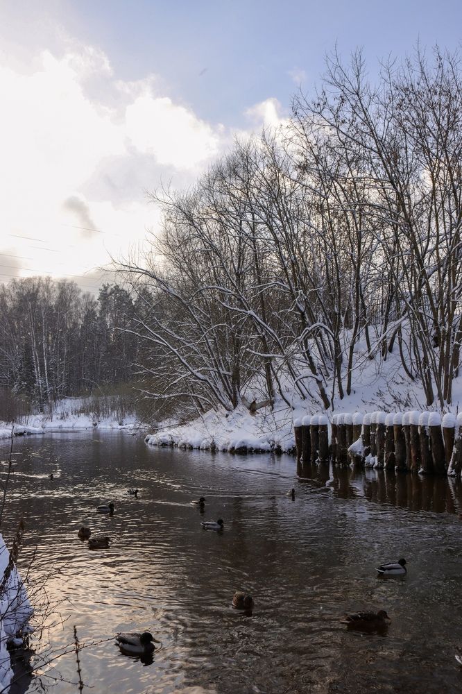 Photograph by Екатерина Краснобокая