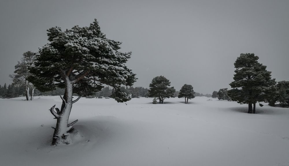 Photograph by Виктор Рыков
