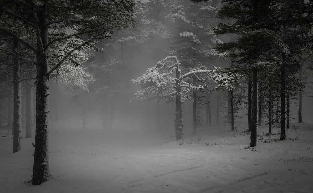 Photograph by Виктор Рыков