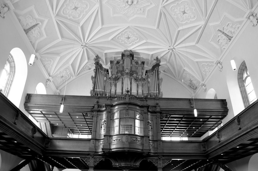 Photograph by Marilena Dragoslavic