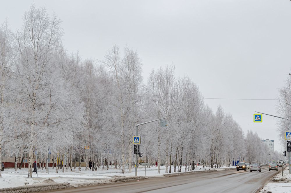 Photograph by Анна Морозова