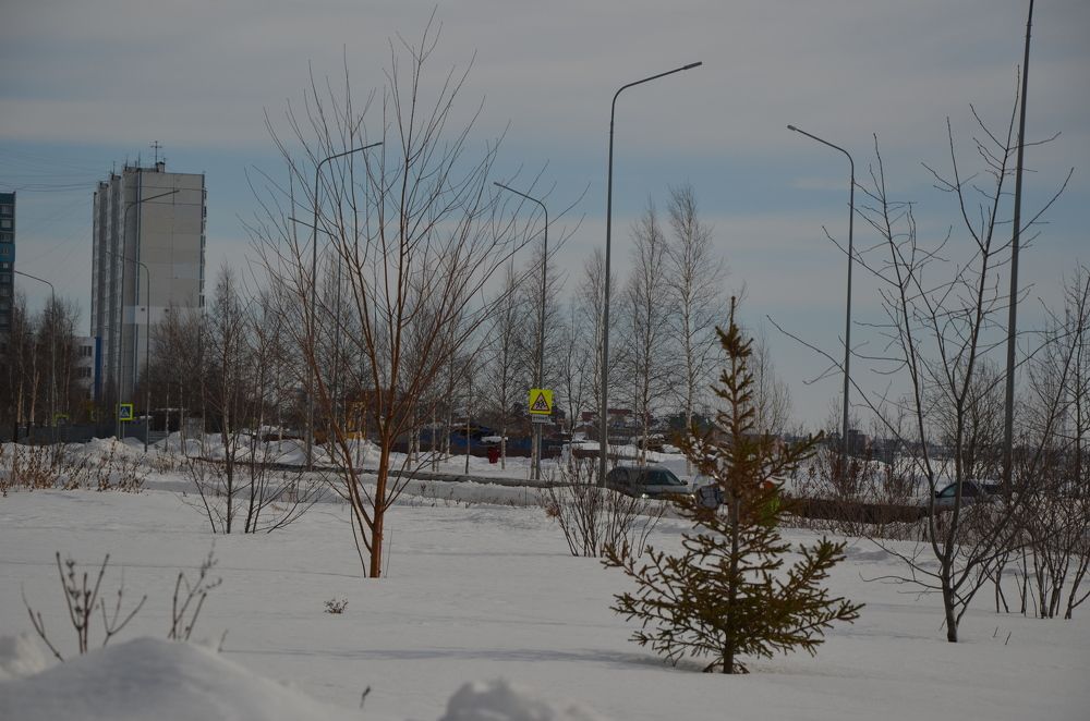 Photograph by Анна Морозова