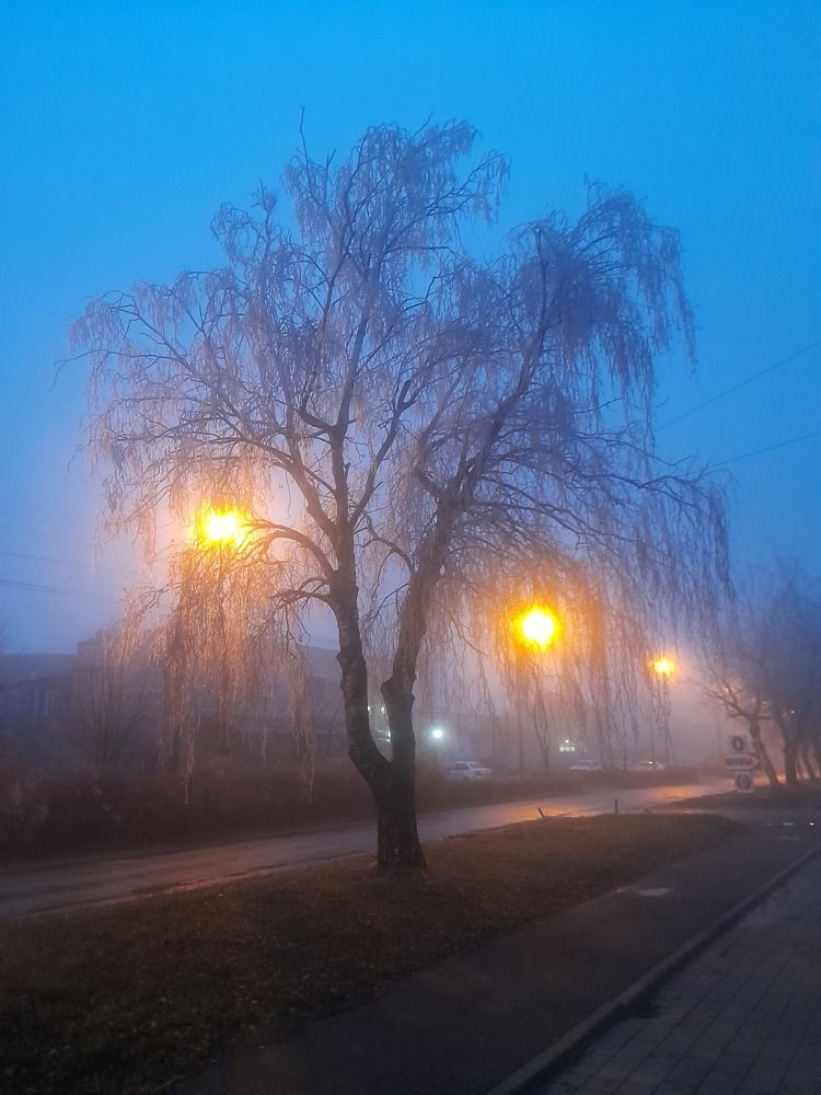 Photograph by Юрий Хадыка